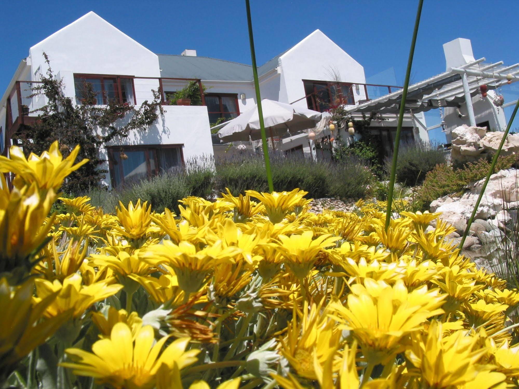Farr Out Guest House Paternoster Exterior foto